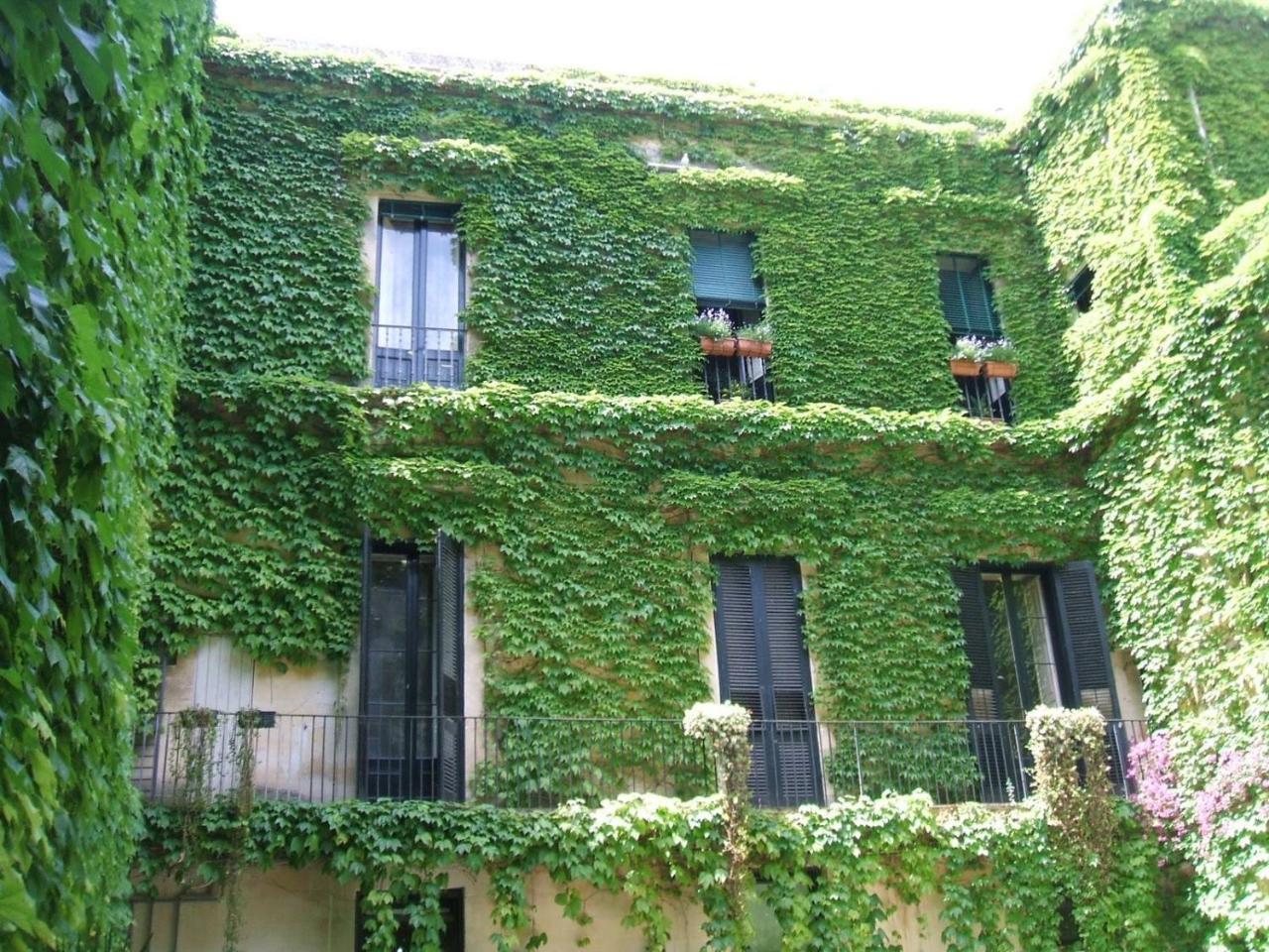 Palazzo Rollo Acomodação com café da manhã Lecce Exterior foto